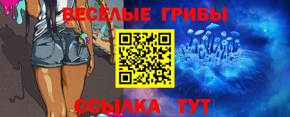 Псилоцибиновые грибы Magic Shrooms Димитровград
