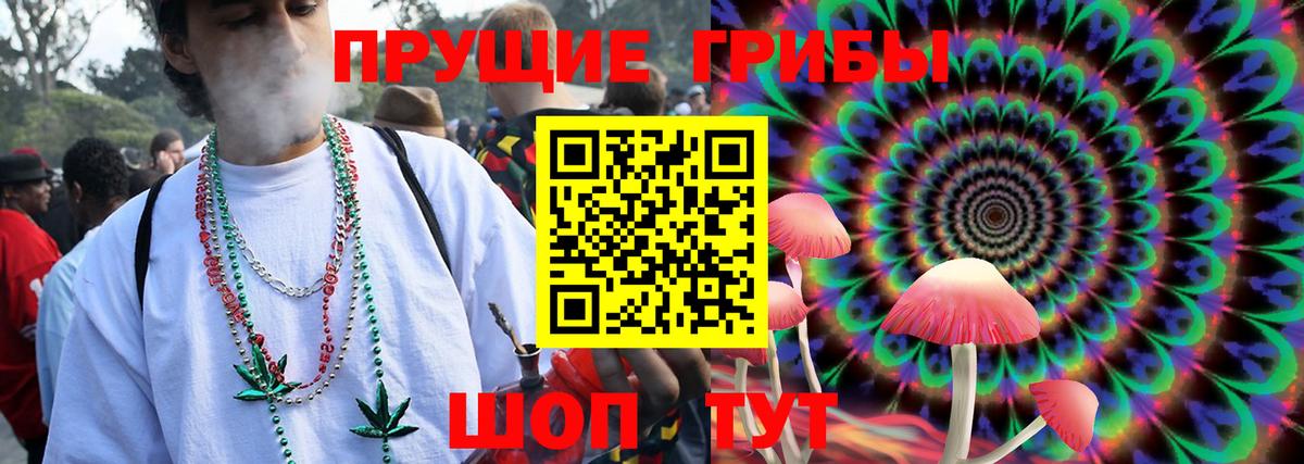 Димитровград  Псилоцибиновые грибы Psilocybe  Вход с VPN 