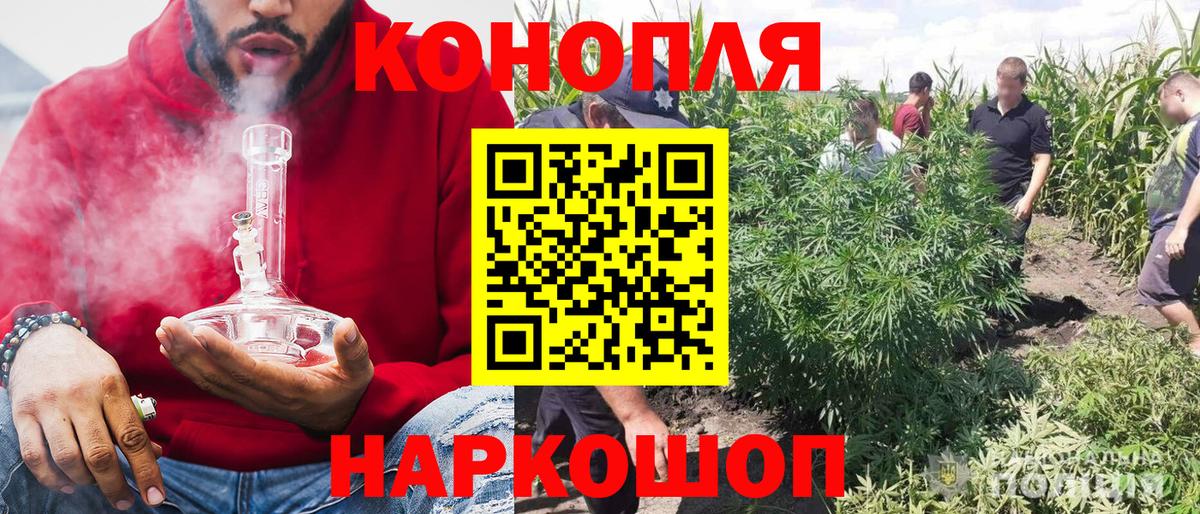 Шишки марихуана семена  Марихуана White Widow  Вход с VPN  Каннабис марихуана  Димитровград 